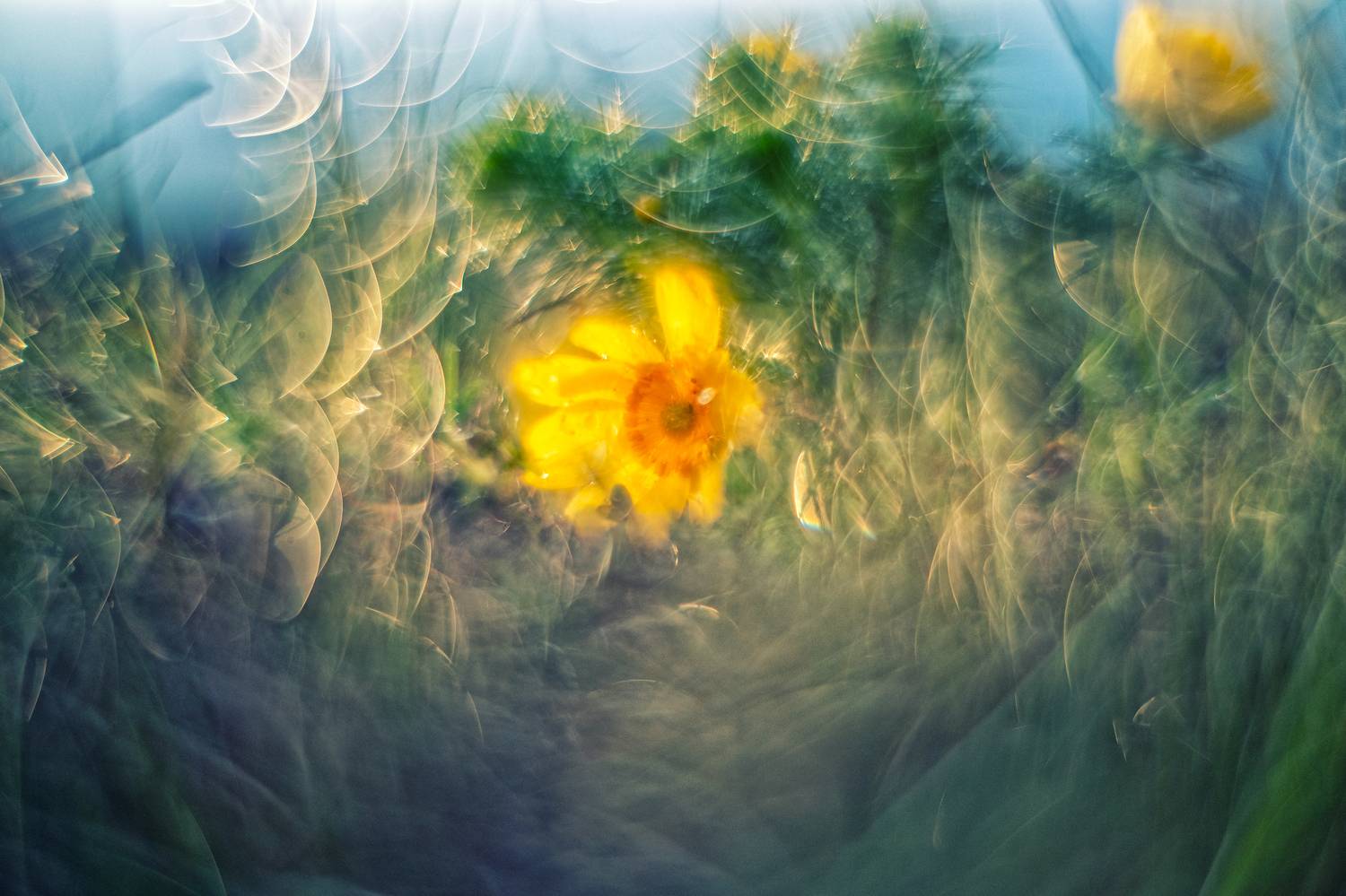 , Виктор Лебедь