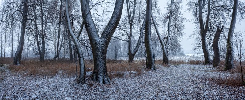 снег, старый парк В заброшенном парке фото превью