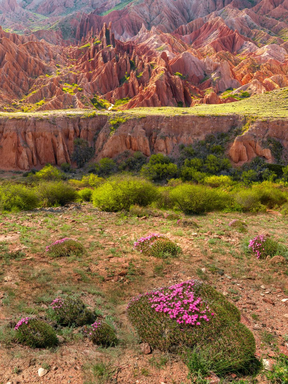 Фототуры с Владимиром Рябковым,#topnature #russpasibo #magic_shots #lovelyRussia #sunset_vision #exclusive_sky  #exclusive_shots #loves_russia2 #photoarena_nature #nature_sultans #nature_perfection #rsa_sky #rsa_sunset #photorussia #rsa_naturepics #sunset, Владимир Рябков