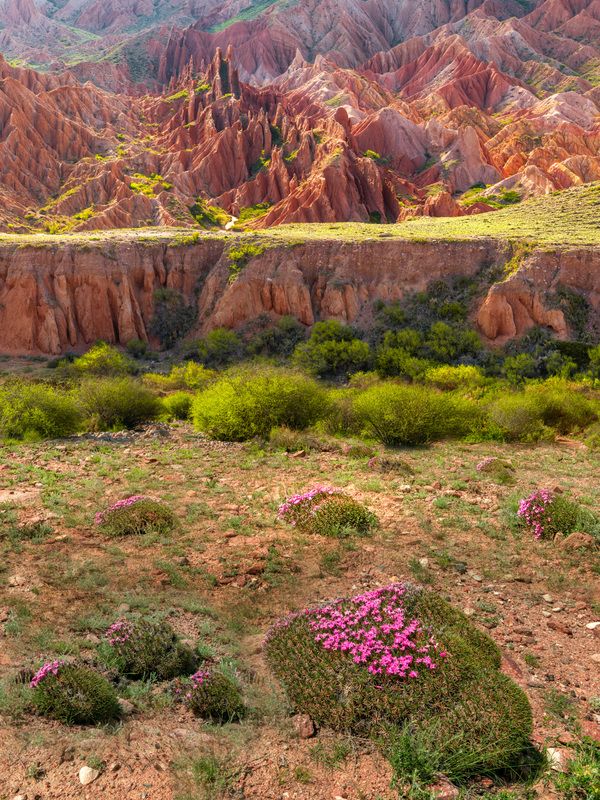 Фототуры с Владимиром Рябковым,#topnature #russpasibo #magic_shots #lovelyRussia #sunset_vision #exclusive_sky  #exclusive_shots #loves_russia2 #photoarena_nature #nature_sultans #nature_perfection #rsa_sky #rsa_sunset #photorussia #rsa_naturepics #sunset Каньон Сказка фото превью