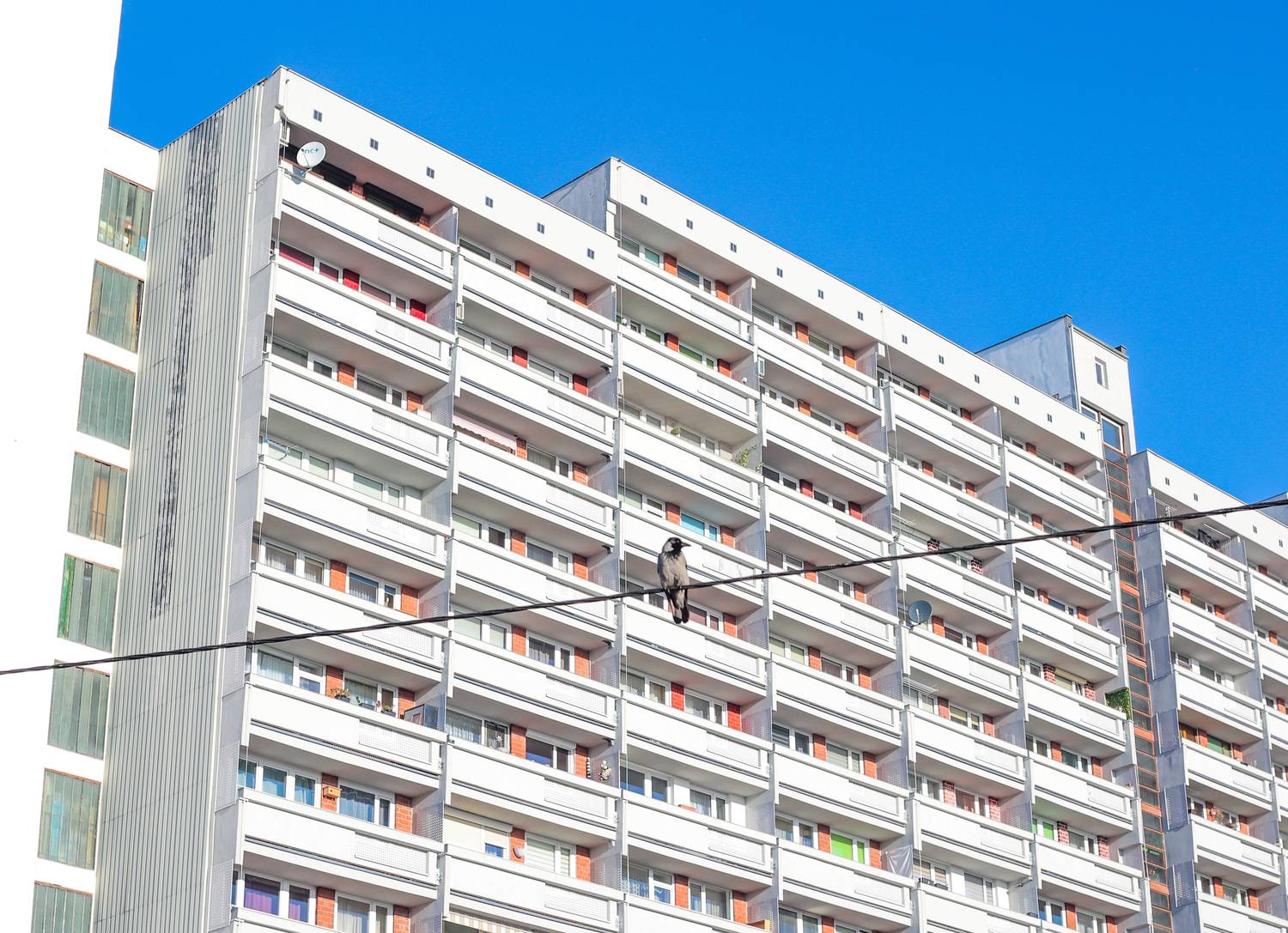 , Krzysztof Trojanowski