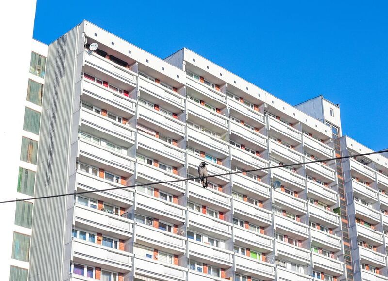 ... фото превью