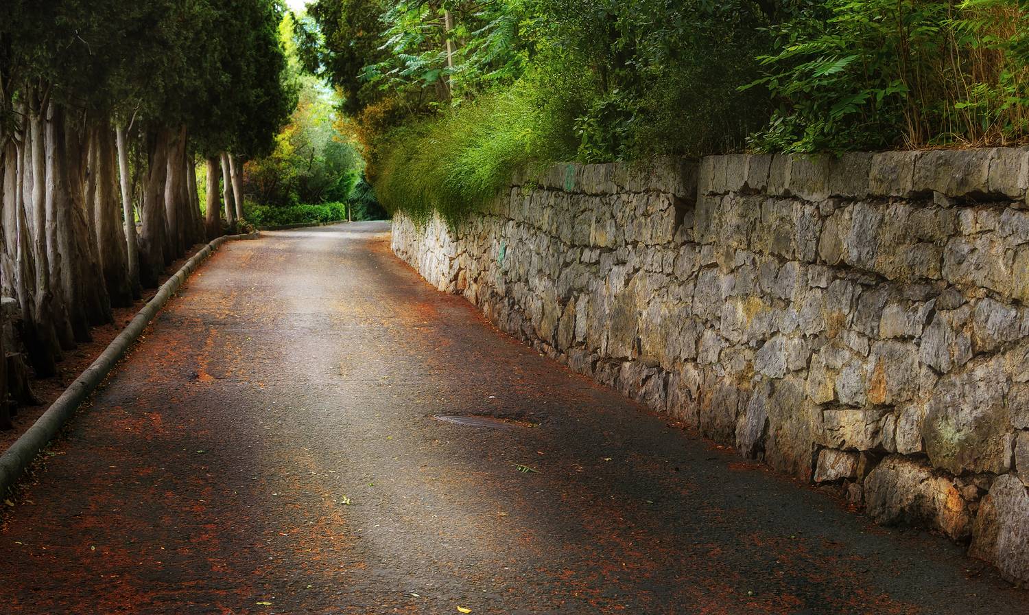 , Лысенко Сергей