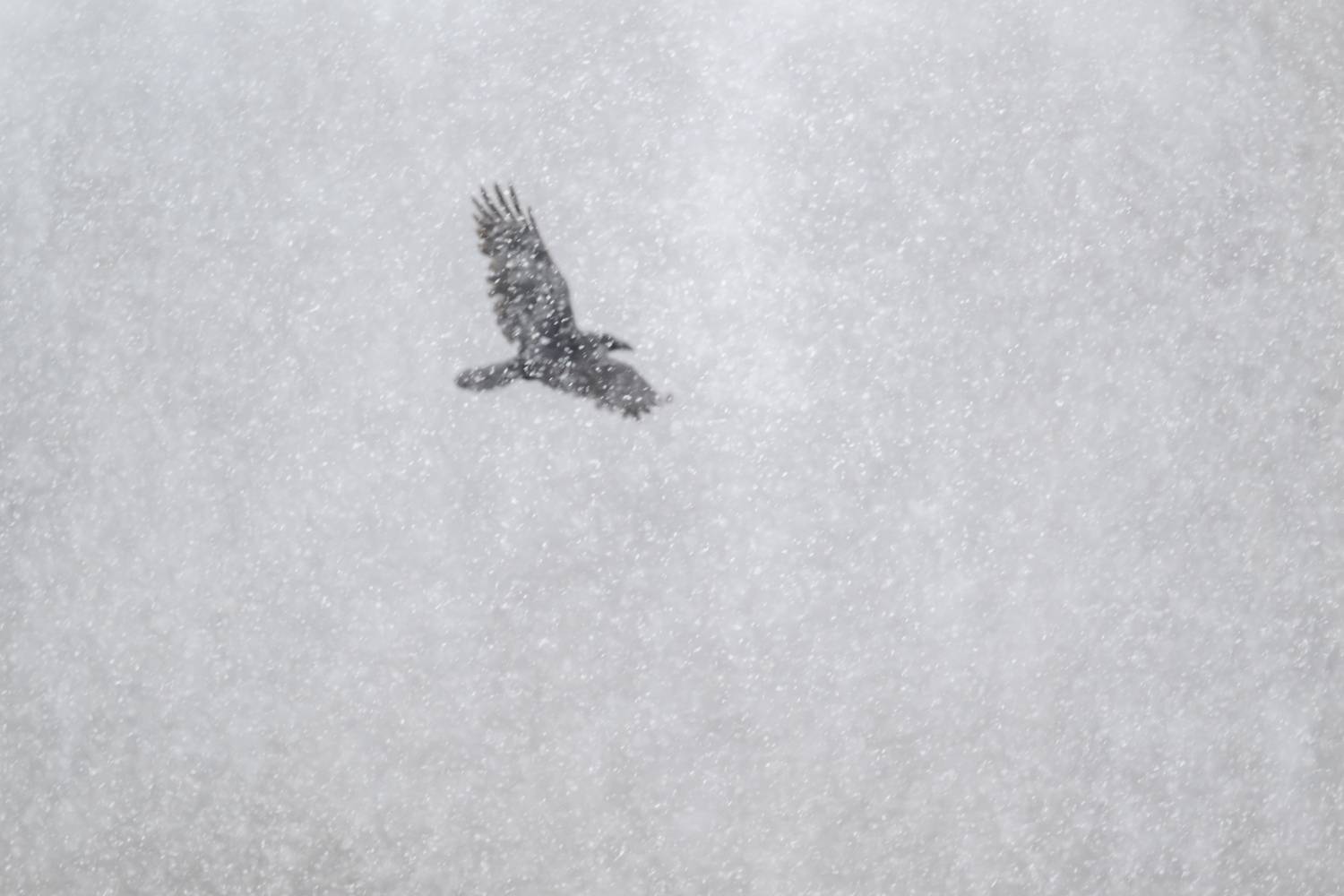 , Пупонин Сергей