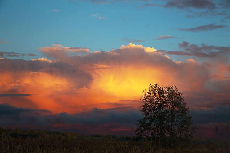 закат, небо, облака, тучи, зарево, лето, веер Финальный аккорд заката фото превью