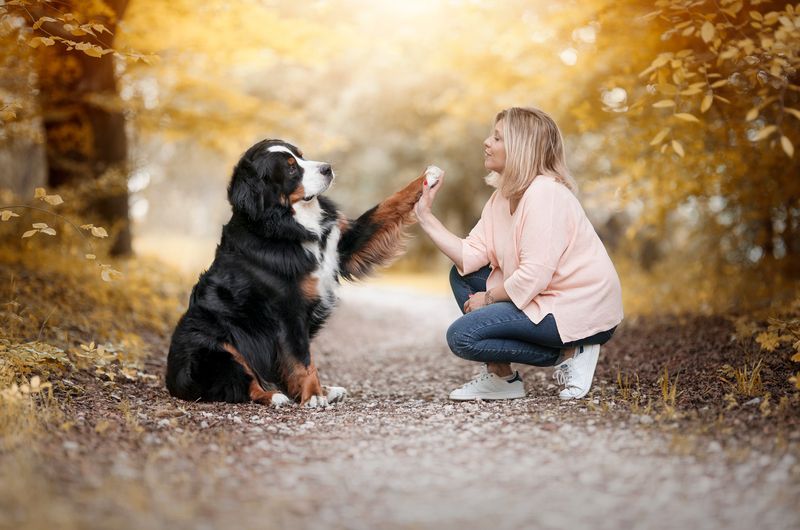 Bart фото превью