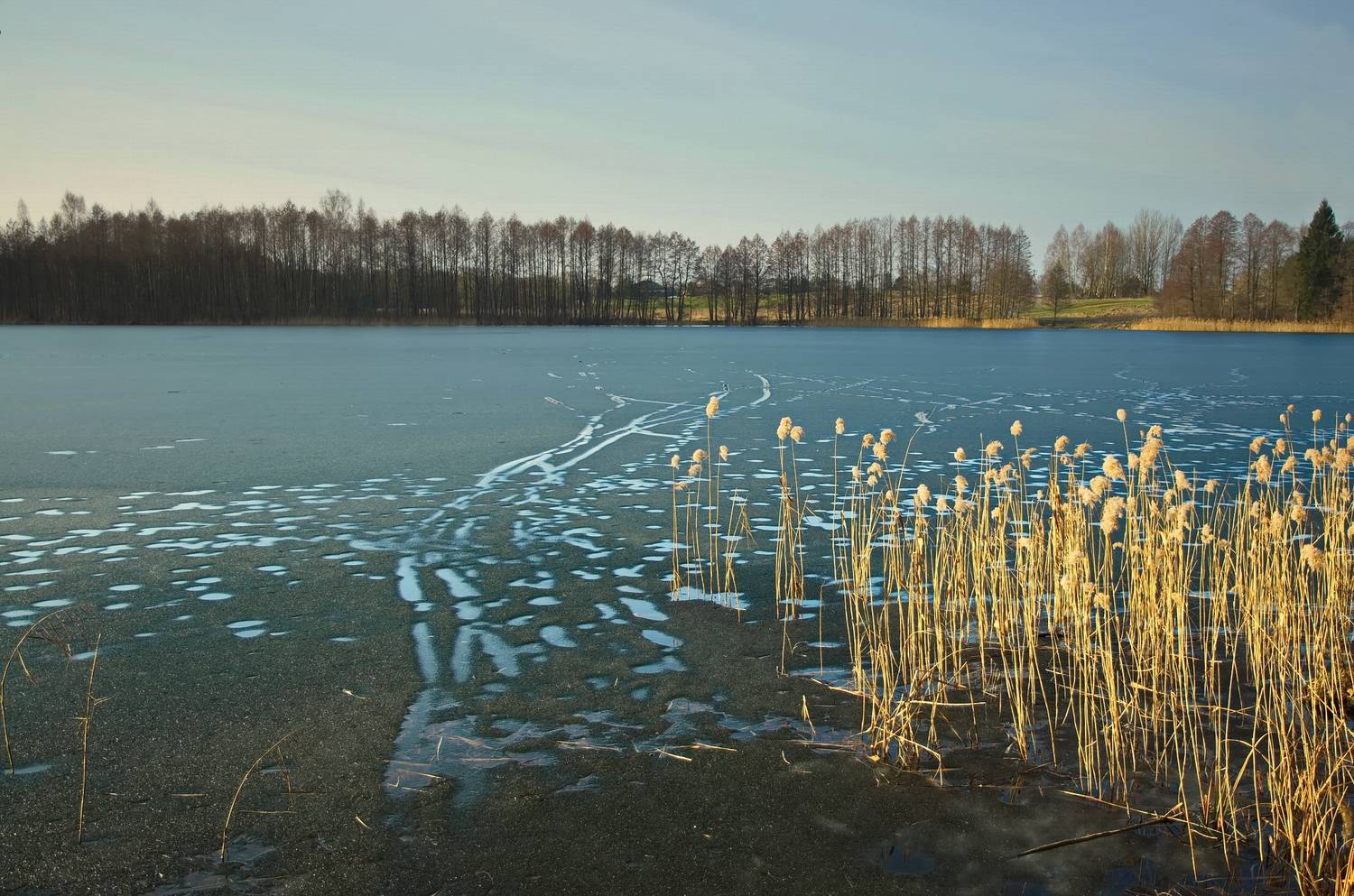 весна, лес, озеро, лёд, вечер, лётцы, беларусь, Виктор Гурков