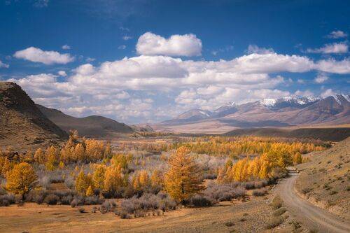 Золотая осень./ Golden autumn.