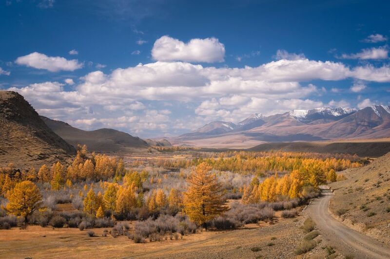 тыва, tuva, горы, солнце, утро, золотая осень, путешествие, journey, traveling Золотая осень./ Golden autumn. фото превью