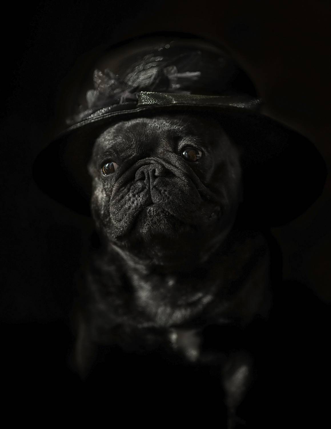 , Софронова Ольга