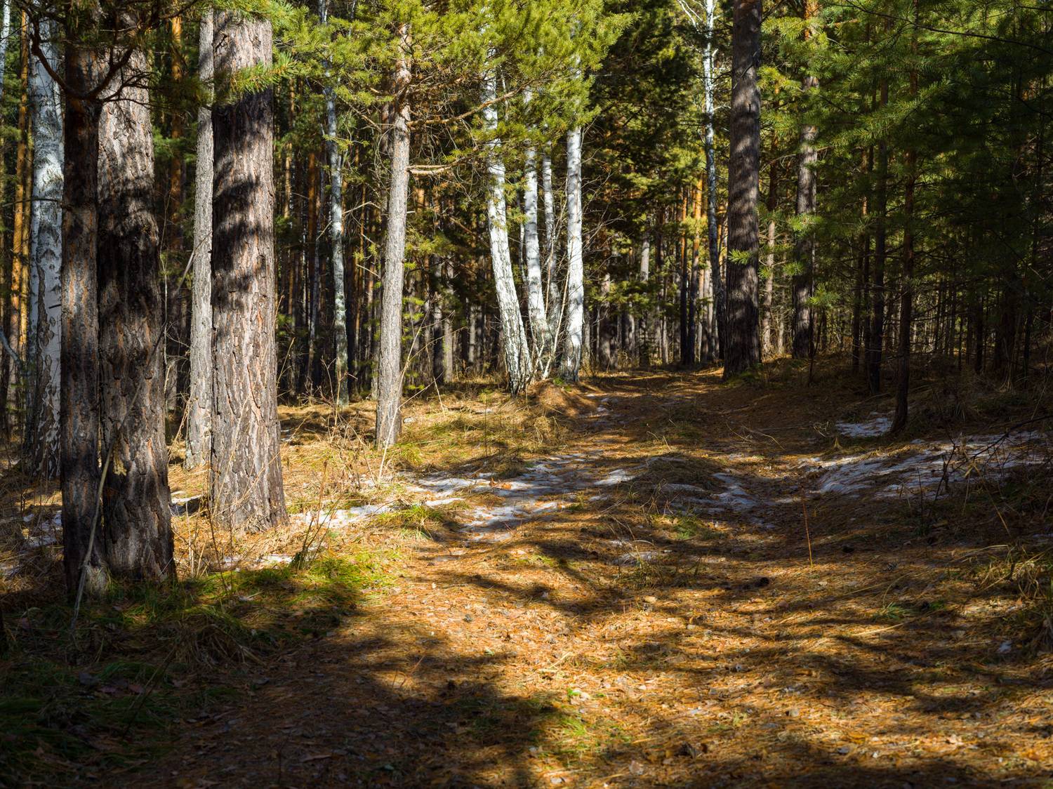 , Шустиков Дмитрий