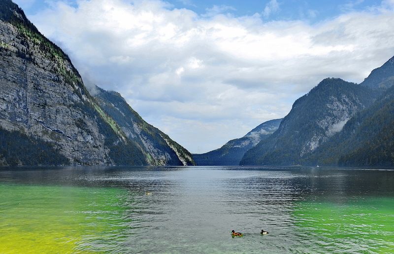 Фауна озера Кенигзее фото превью