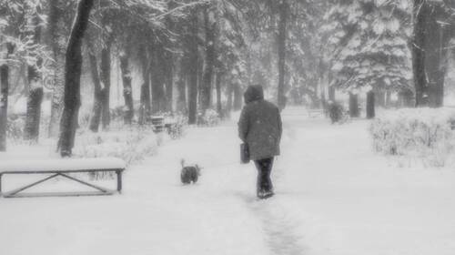 Апрельские шутки природы и погоды