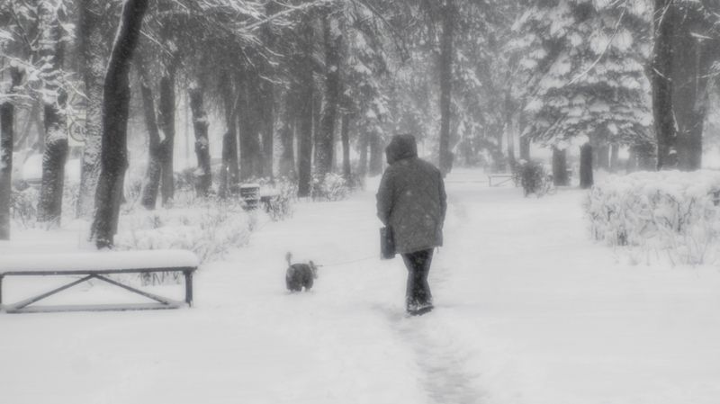 монокль Апрельские шутки природы и погоды фото превью