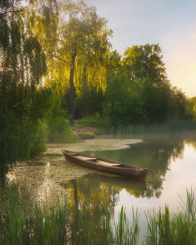 Подмосковье фото превью