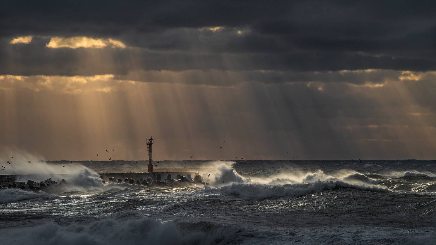 , Олег Иванов