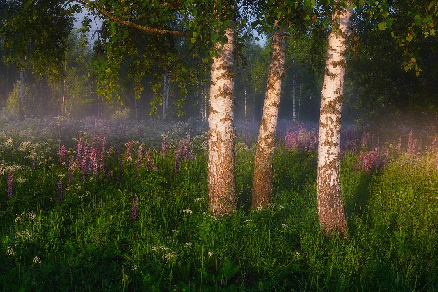 , Костенко Александр