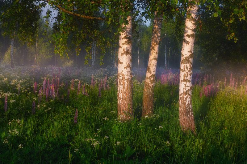 Три сестры фото превью