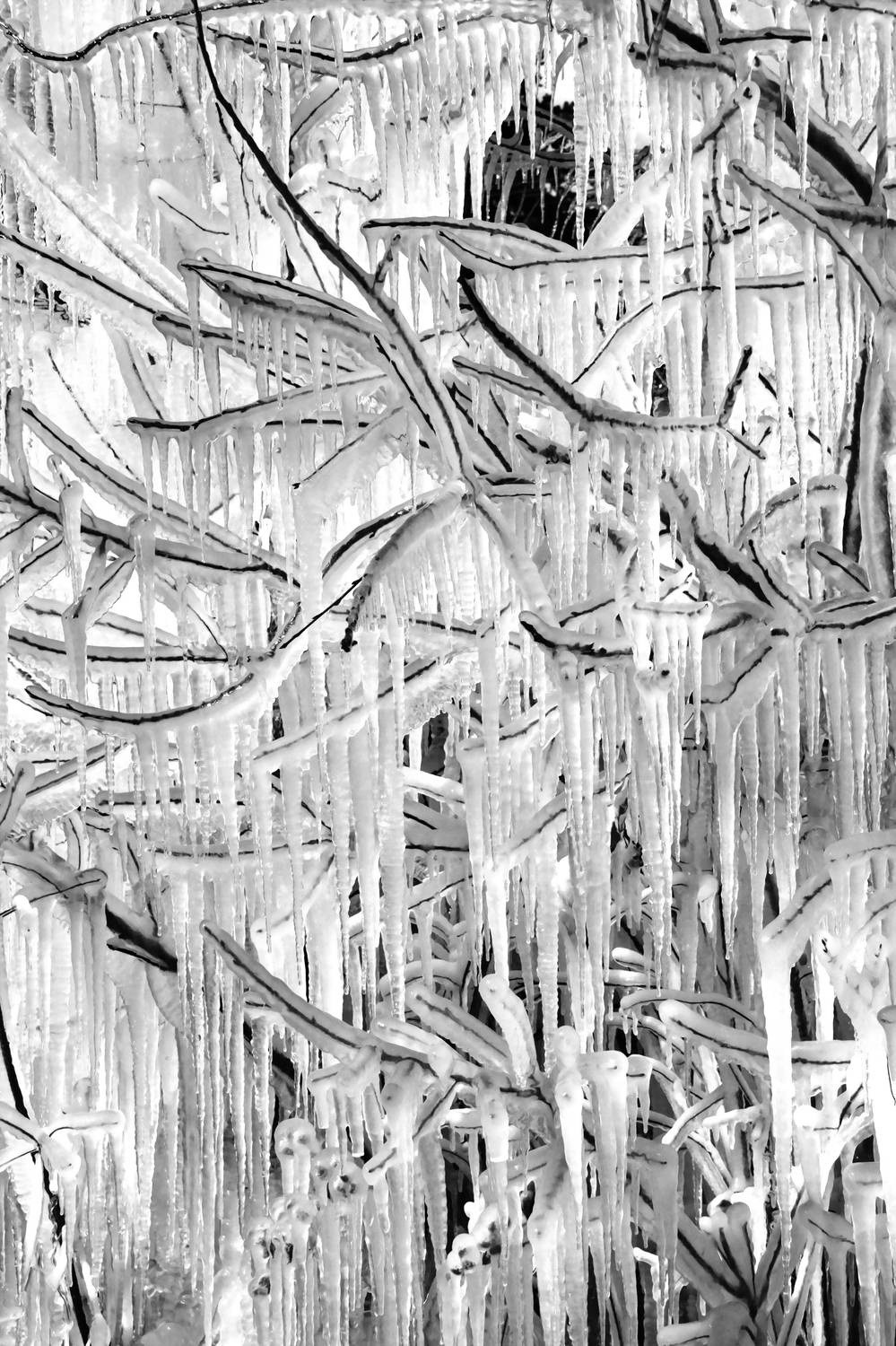 , Гагик Мхитарян