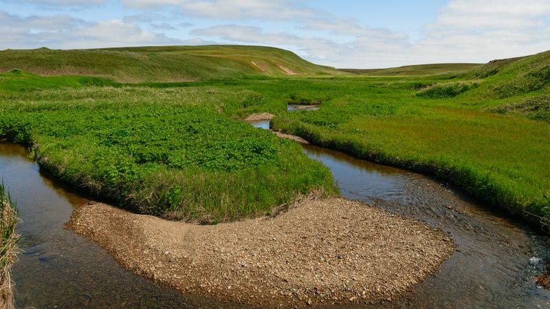 Остров Беринга фото превью