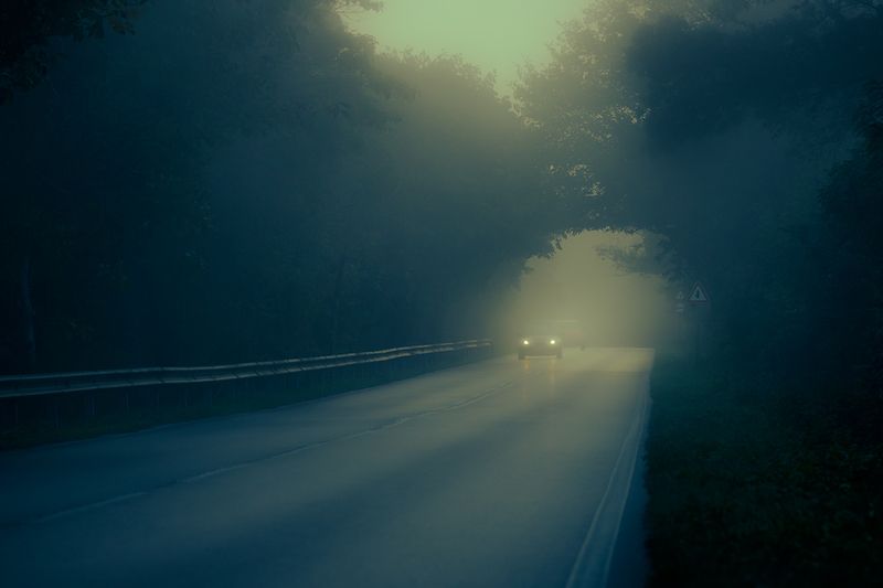 2024-09-25 фото превью