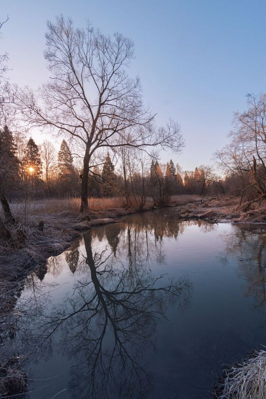 Весна фото превью