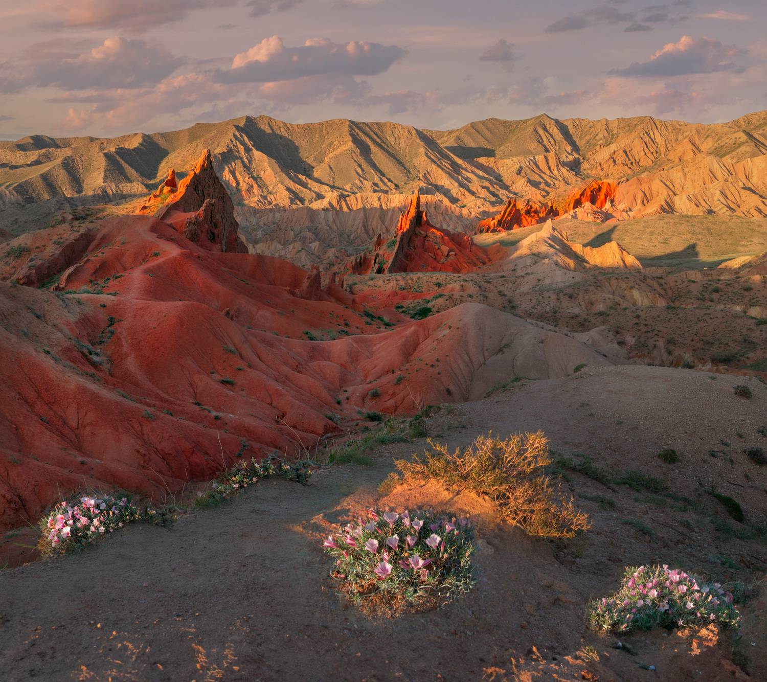 Фототуры с Владимиром Рябковым, #topnature #russpasibo #magic_shots #lovelyRussia #sunset_vision #exclusive_sky  #exclusive_shots #loves_russia2 #photoarena_nature #nature_sultans #nature_perfection #rsa_sky #rsa_sunset #photorussia #rsa_naturepics #sunse, Владимир Рябков