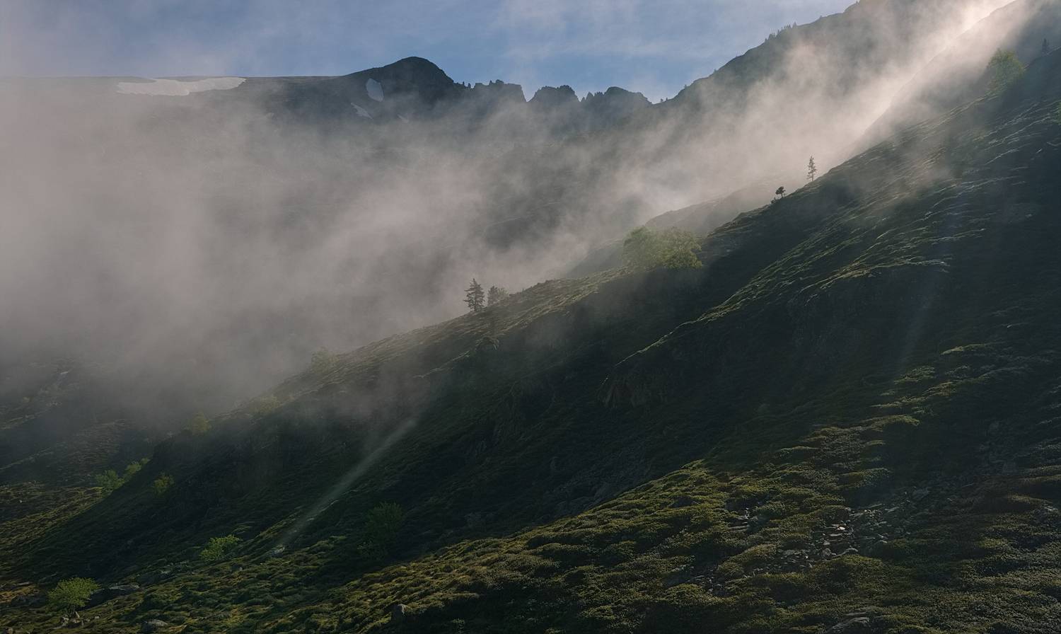 , Wojciech Tarnowski