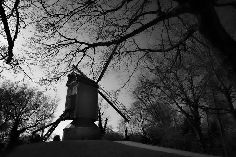 Brujas. фото превью