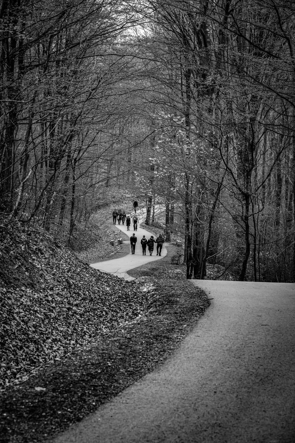 , Александр Шилов