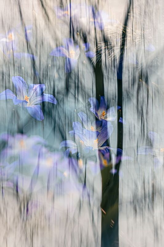 icm, мультиэкспозиция Перезвон фото превью