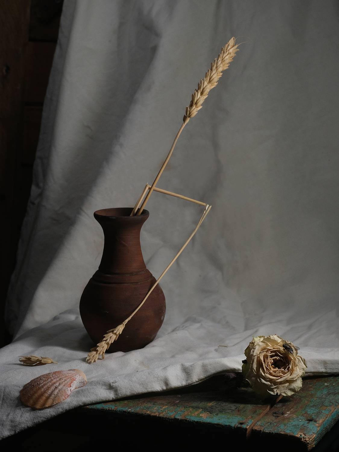 , Тим Мартынов