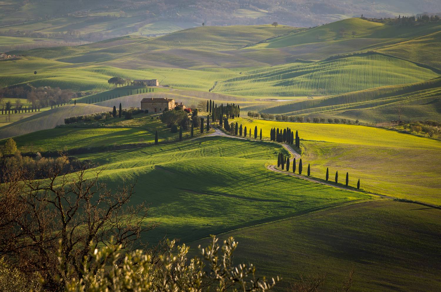 , Алекс Римский