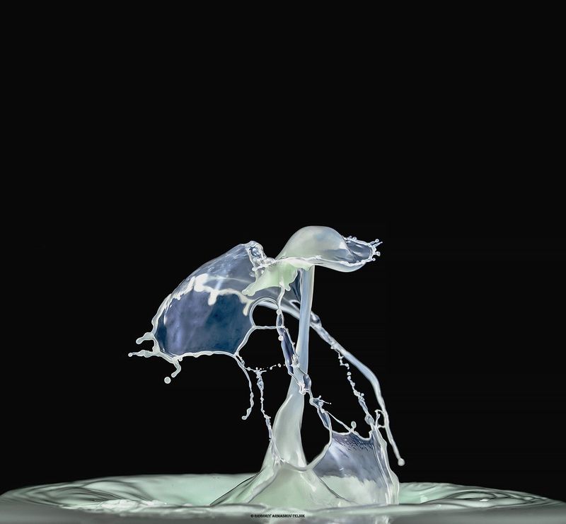 drops, macro, colors,liquid, milk, color_water,macro_photo,water Milk фото превью