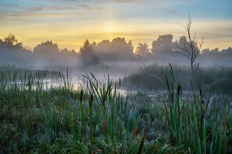 Августовский рассвет на старице фото превью