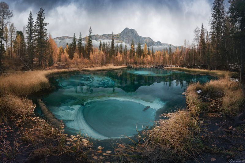 vortex фото превью