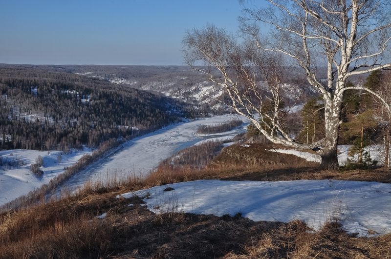россия, кузбасс, пейзажи, весна, апрель, катунские утёсы, деревья, река кондома Катунские утёсы в апреле фото превью