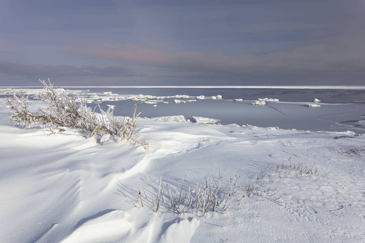 , Лаврентьев Александр