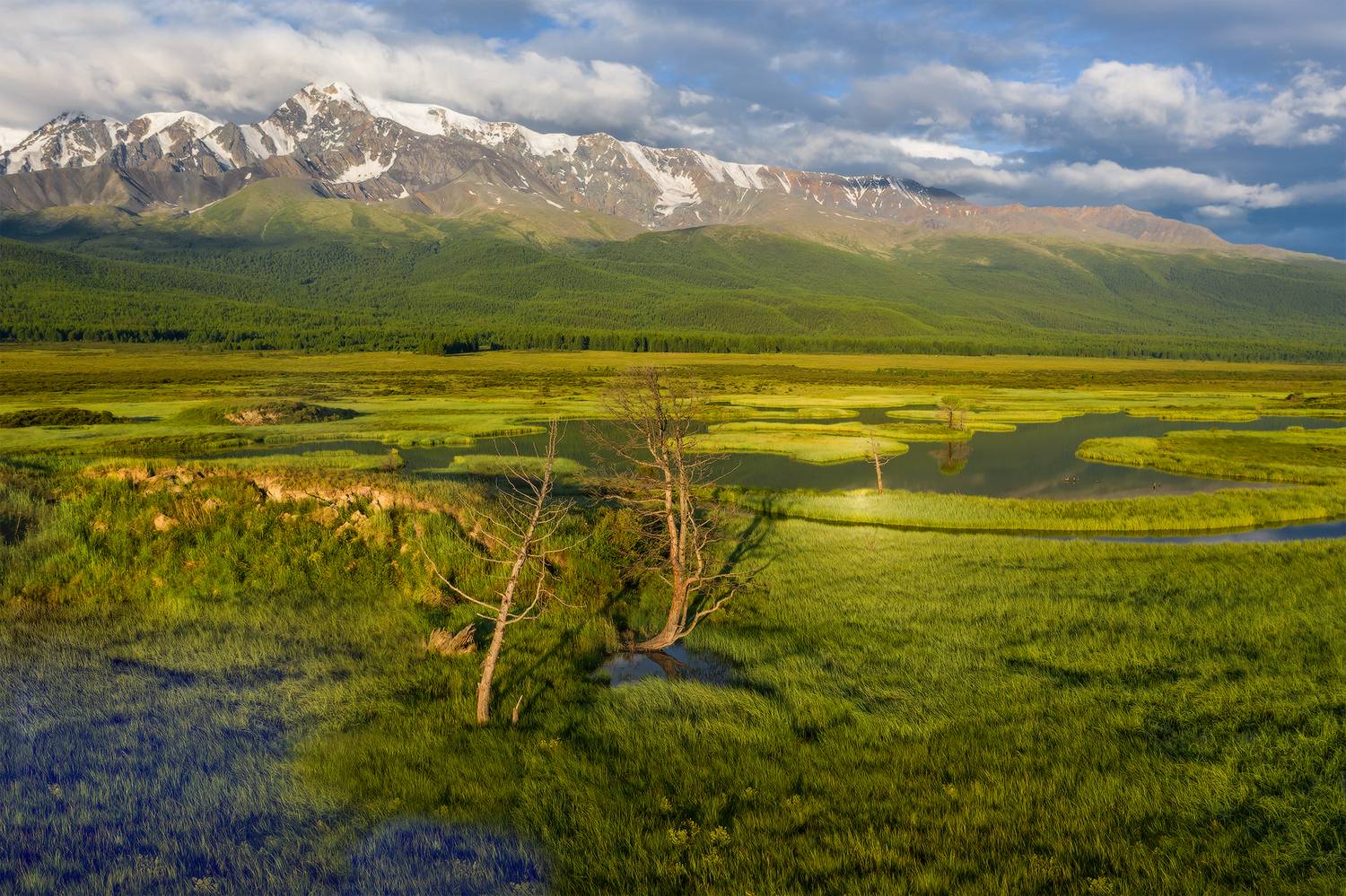алтай ештыккол джангвсколь, Эдуард Кутыгин
