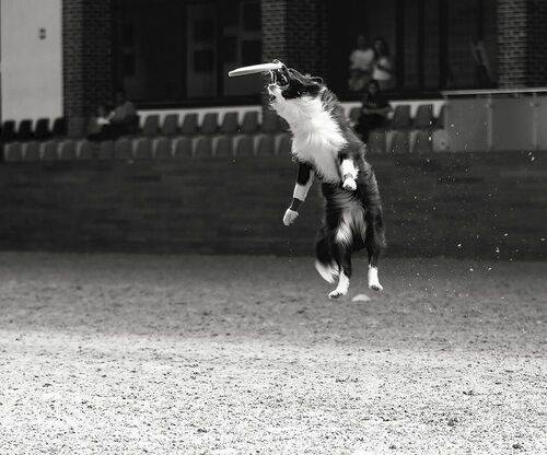 Момент захвата