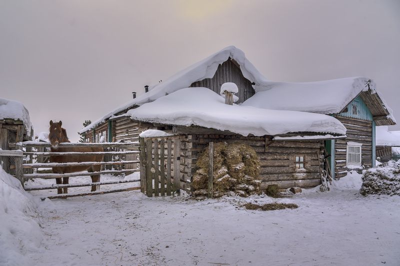 зима, деревня, утро, амбар, баня  фото превью