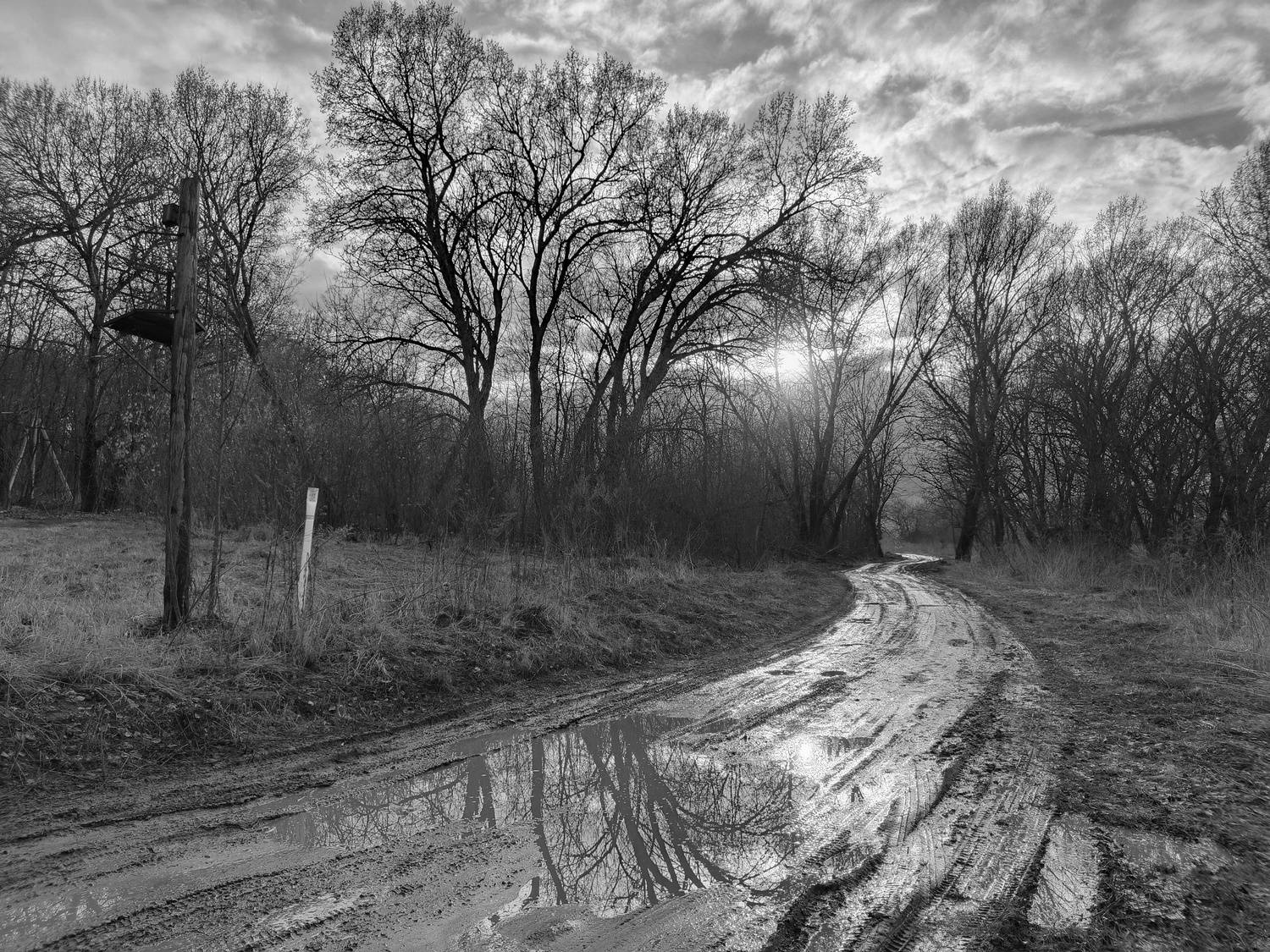 , Кондрашова Светлана