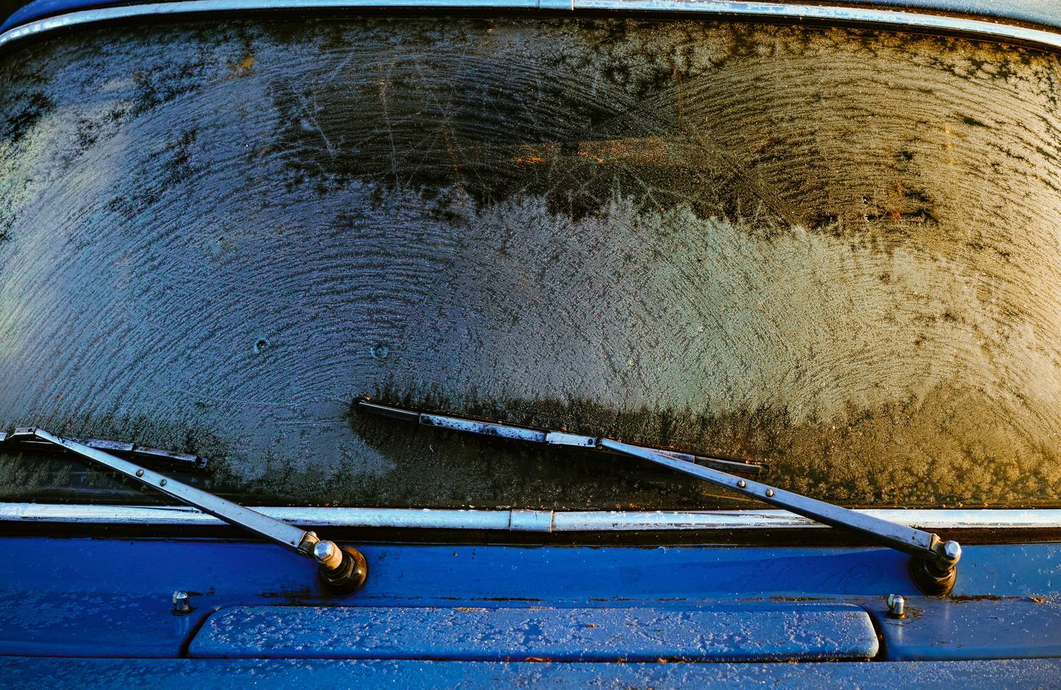 , Лофицкая Лариса