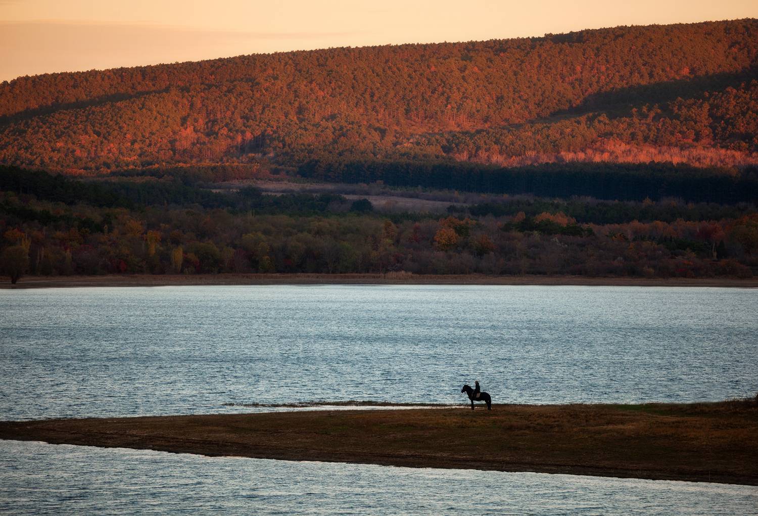крым, утро, лошадь, Аседач Александр