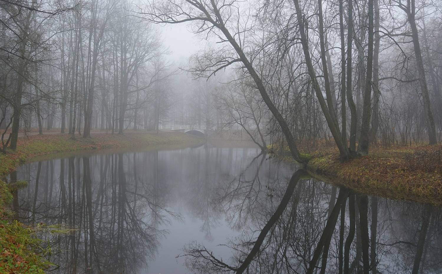 ,  Сергей Андреевич