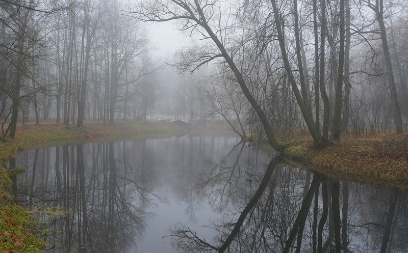 A morning in November фото превью