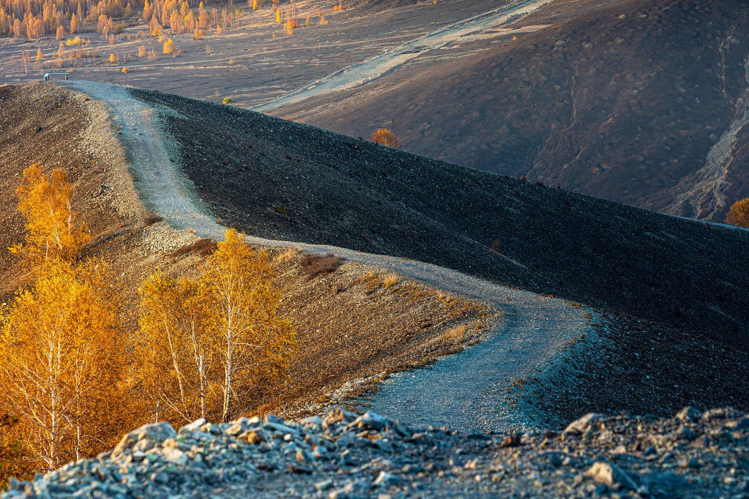 , Андрей Шарапов