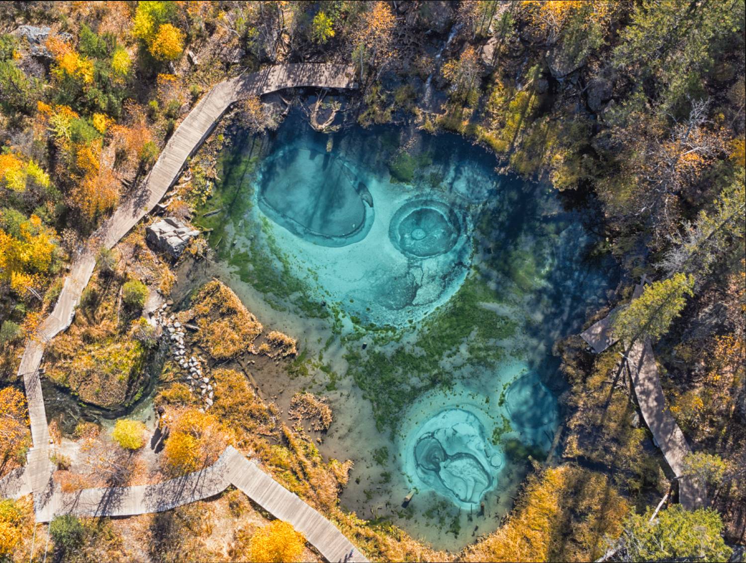Россия, Алтай, пейзаж, Гейзерное озеро, Лариса Дука