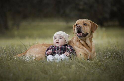 Afonso&Tom