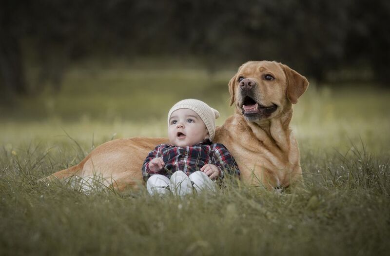 Afonso&Tom фото превью